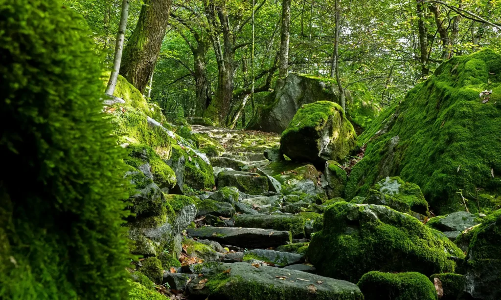 Wandern im Maggiatal – 5 Routen ab Cevio
