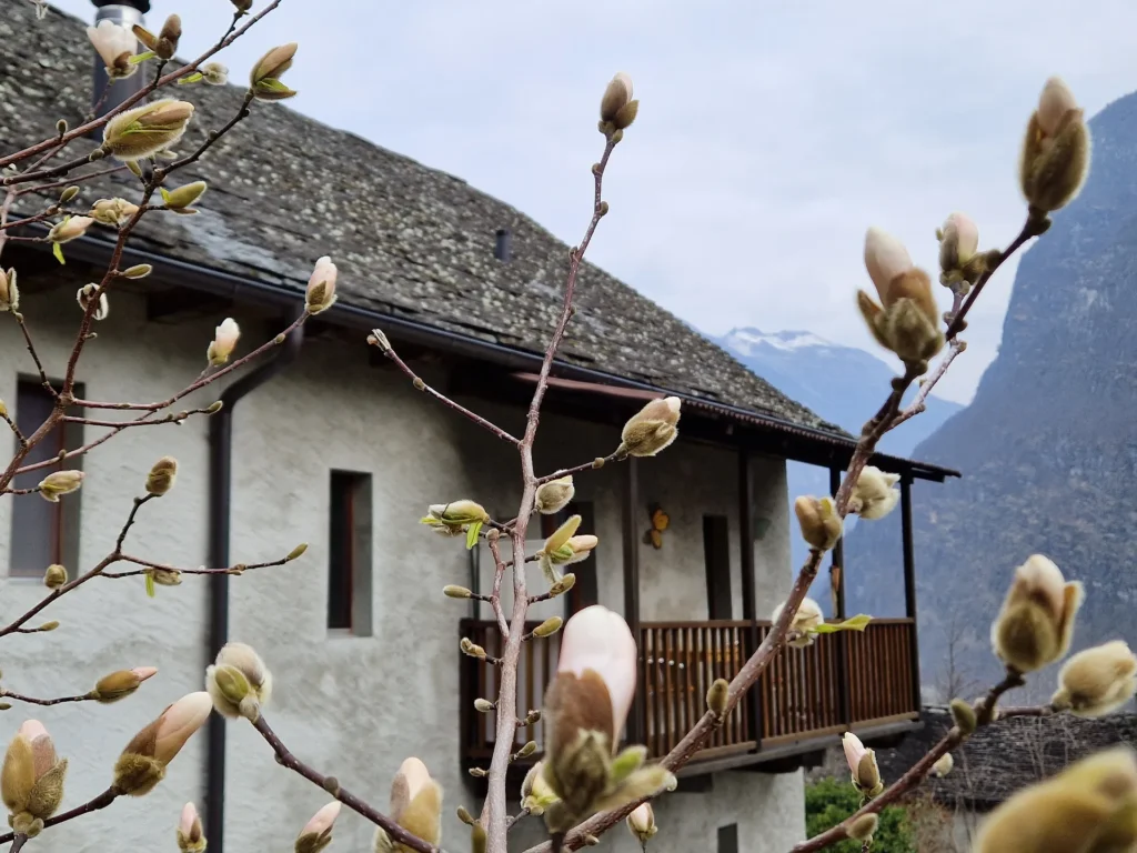 Wohnung N°2 6 20230319 105021