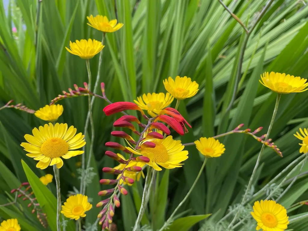 Wohnung N°2 11 Blumen
